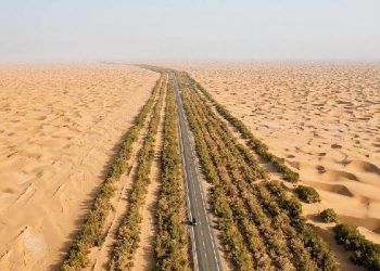 Sıfır Karbonlu Çöl Otoyolu, 5 milyon Kilovat Yeşil Enerji Üretti