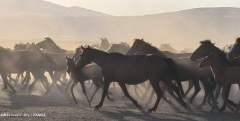 Coşkun Aral’ın Son Belgeselinde Türkiye’nin Doğusunda Görsel Bir Yolculuğa Çıkın