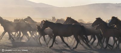 Coşkun Aral’ın Son Belgeselinde Türkiye’nin Doğusunda Görsel Bir Yolculuğa Çıkın