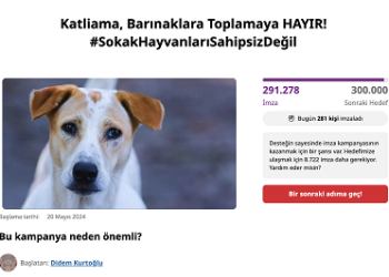 2024’ün İlk 6 Ayında En Fazla İmza Hayvan Hakları İçin Atıldı