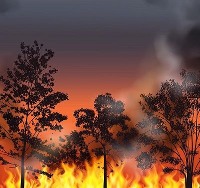 Orman Yangınlarının Yüzde 78’i Sıcaklığın En Yüksek Olduğu Saatlerde Çıkıyor