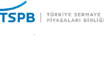 Yerli Yatırımcıların Pay Senedi Varlıkları 3.7 Trilyon Liraya Ulaştı