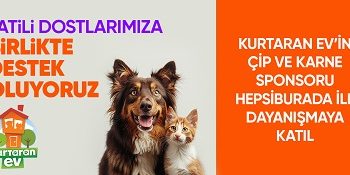 Hepsiburada, Dünya Köpek Günü’nde Patili Dostlara Destek Sayfasını Açıyor
