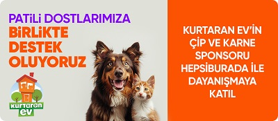 Hepsiburada, Dünya Köpek Günü’nde Patili Dostlara Destek Sayfasını Açıyor