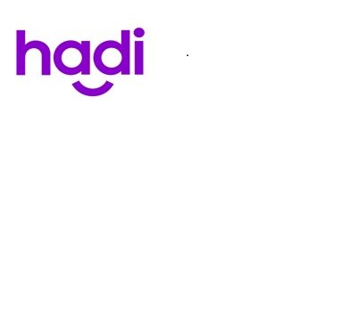 HADİ ile Veresiye Alışveriş Trendi Artıyor