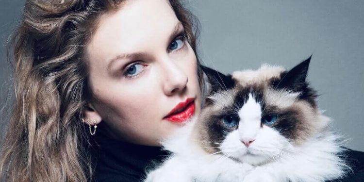 Taylor Swift, Sahte Görüntülerini Kullanan Trump’ı Değil, Kamala’yı Desteklediğini Açıkladı