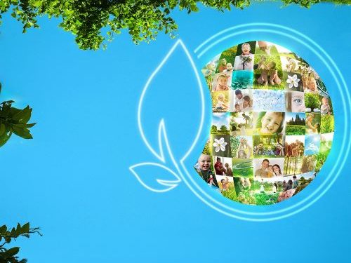 ebebek’ten Sürdürülebilir Gelecek İçin Önemli Adımlar