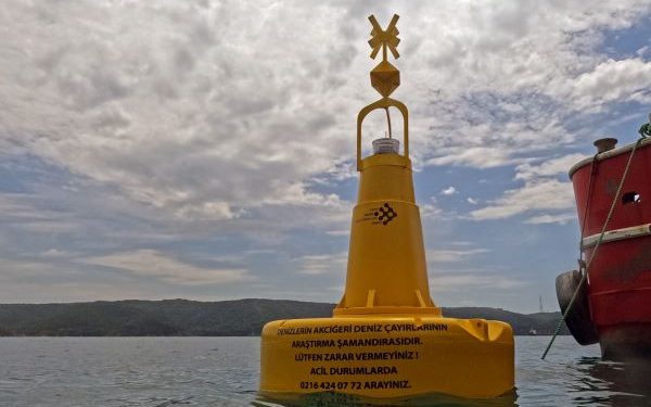Güney Koreli Heyet İstanbul Boğazı’nda Deniz Çayırlarını İnceledi