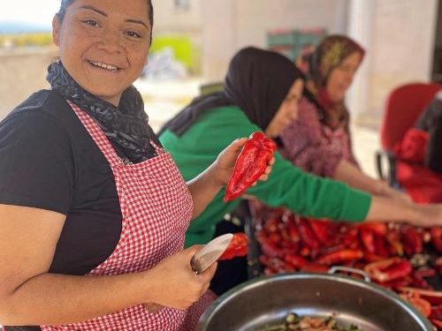 Hepsiburada E-Ticaret Yapan Kadın Kooperatifi Sayısını İki Katına Çıkaracak