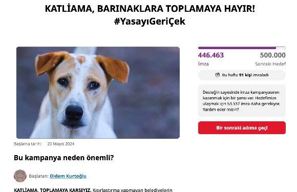 Sokak Hayvanları Yasası ve Şiddet Cezaları İçin Büyük Tepki