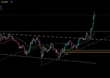 Bitcoin 93.285 Dolara Yükseldi, Yeni Rekor Geldi