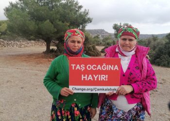 Dünyaca Ünlü Cennetimiz Assos’ta Ağaç Katliamı
