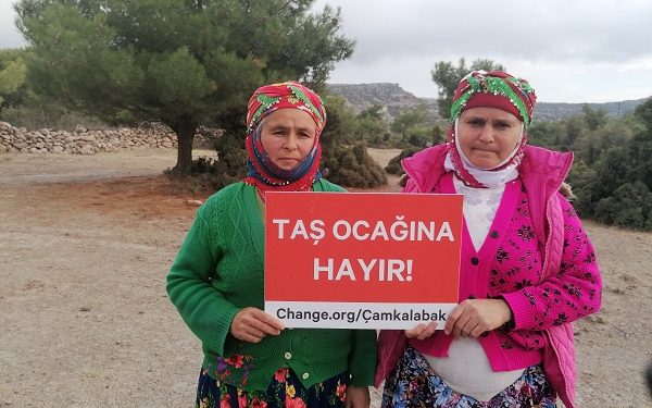 Dünyaca Ünlü Cennetimiz Assos’ta Ağaç Katliamı