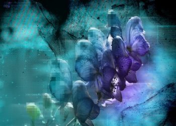 Siber Casusluk Arka Kapıdan Devam Ediyor