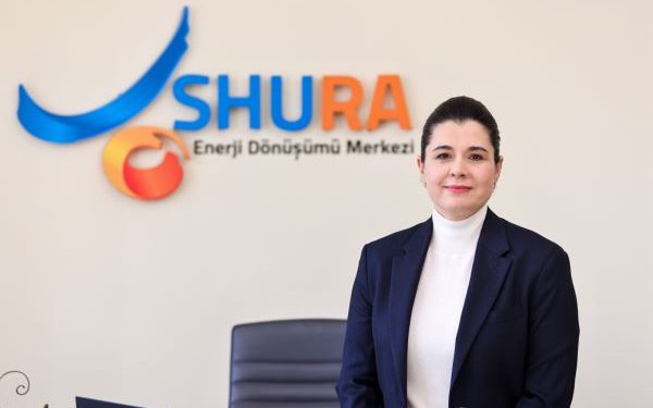 2024’te Enerji Dönüşümü Hızlandı, 2025’te Daha Somut Adımlar Bekleniyor