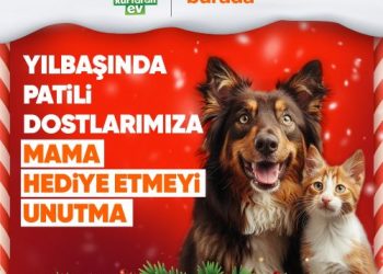 Yılbaşında Sokak Hayvanlarına Mama Hediye Etmek İsteyenler, Patili Dostlara Destek Sayfasında Buluşuyor