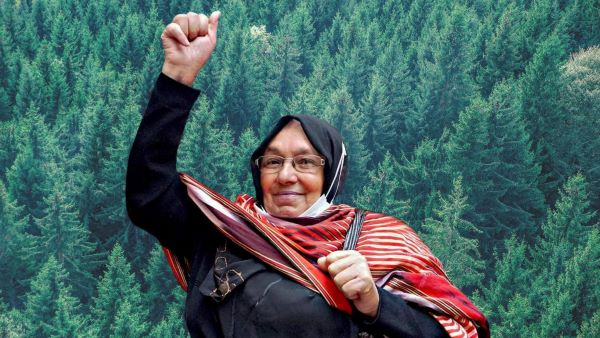 92 Kurumdan Ortak Talep: Doğayı Ve Yaşam Alanlarımızı Koruyan Gerçek Bir İklim Kanunu İstiyoruz