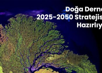 Doğa Derneği, Ortaklarıyla Birlikte 2025-2050 Stratejisini Hazırlıyor