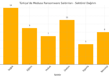 Türkiye Dahil Çeşitli Ülkelerdeki “Medusa Fidye Saldırıları” Korkutuyor