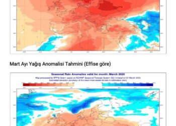OGM: Orman Yangını Riski Kapıda