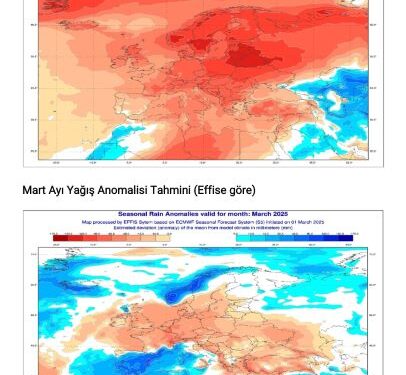 OGM: Orman Yangını Riski Kapıda