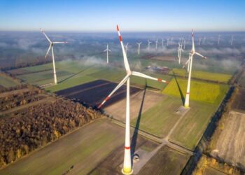Yeo Teknoloji ve Enerjisa’dan Yeni Anlaşma