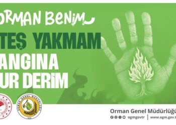 OGM’den Kritik Uyarı: Sıcaklık Artışı Orman Yangınlarını Tetikleyebilir