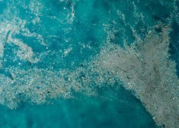 Doğayla Uyumlu Yaşamalıyız: Plastik Kirliliğine Son Ver, Yaşamı Koru