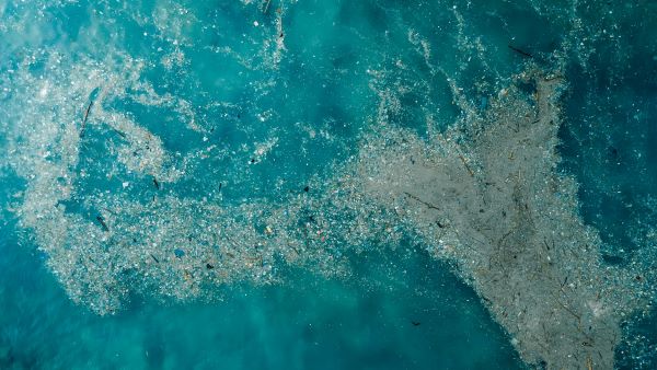 Doğayla Uyumlu Yaşamalıyız: Plastik Kirliliğine Son Ver, Yaşamı Koru