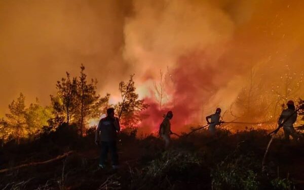 Hasat Mevsiminde Orman Yangını Alarmı