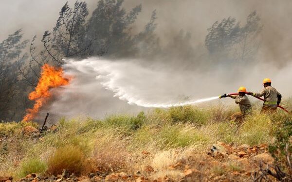 OGM’den Kurban Bayramı Öncesi Yangın Uyarısı