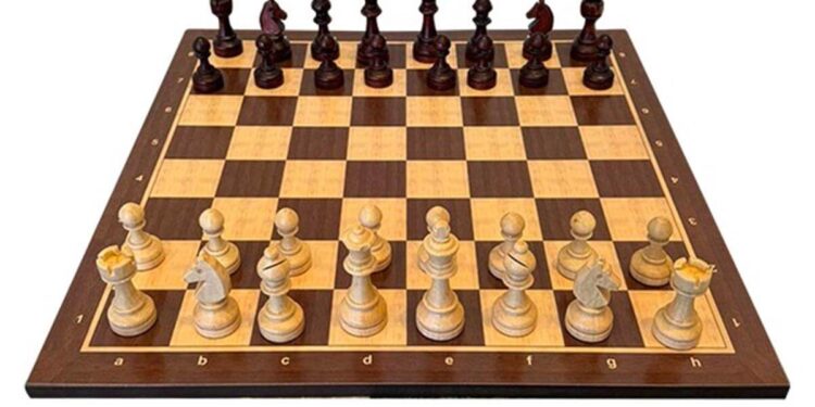Chess.com Yılda 100 Milyon $’dan fazla Kazanıyor