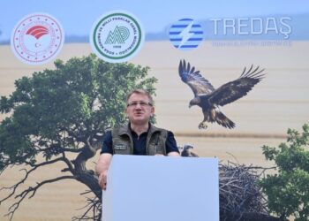 Trakya’da, Leylekler ve Şah Kartal İçin Koruma Seferberliği Başladı