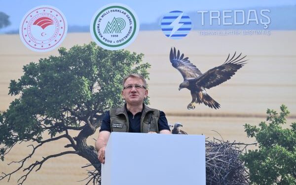 Trakya’da, Leylekler ve Şah Kartal İçin Koruma Seferberliği Başladı