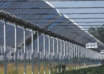 Türkiye’de 2004-2024 Yılları Arasında Tarım Alanları Yaklaşık Yüzde 6,3 Azaldı