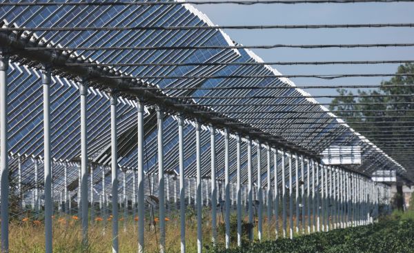 Türkiye’de 2004-2024 Yılları Arasında Tarım Alanları Yaklaşık Yüzde 6,3 Azaldı
