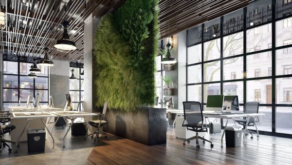 Akıllı ve Çevreci Ofis, Dekorasyon Maliyetini 180 Euro Artırdı