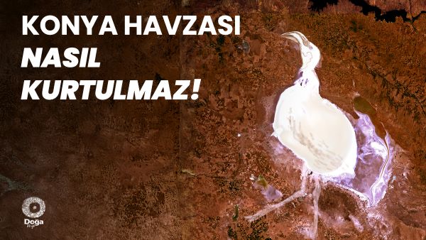 Konya Havzası’nı Mavi Tüneller Kurtaramaz