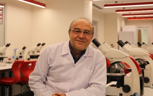 Pestisitler, Arı Nüfusunu da Tehdit Ediyor