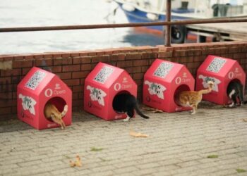 Opera “Kedi Mahallesi” Oluşturmak İçin HAÇİKO ile Güçlerini Birleştirdi