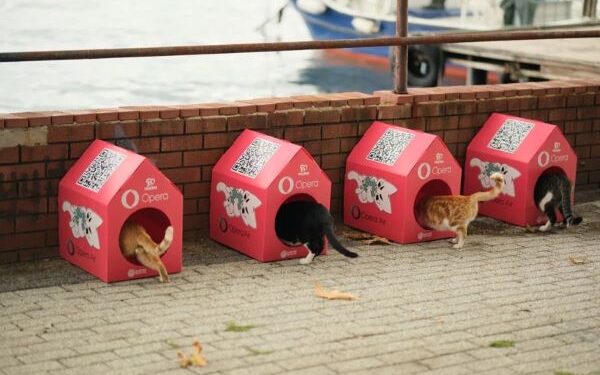 Opera “Kedi Mahallesi” Oluşturmak İçin HAÇİKO ile Güçlerini Birleştirdi