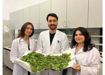 BİLGİ’li Öğrenciler Antibiyotik Direncine Karşı Yenilikçi Ve Doğal Bir Yöntem Geliştirdi