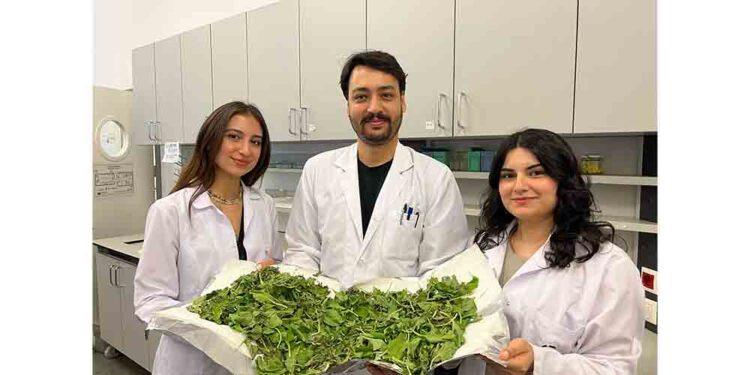 BİLGİ’li Öğrenciler Antibiyotik Direncine Karşı Yenilikçi Ve Doğal Bir Yöntem Geliştirdi