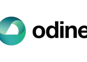 Odine’in 9 Aylık Cirosu 892 Milyon, Brüt Kârı 132,5 Milyon Oldu