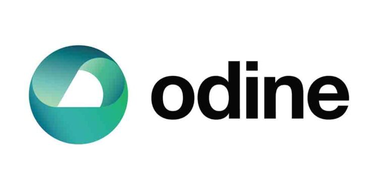 Odine’in 9 Aylık Cirosu 892 Milyon, Brüt Kârı 132,5 Milyon Oldu