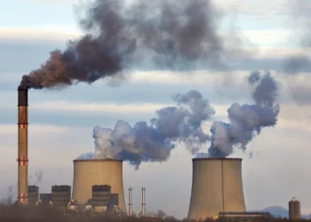 TEMA Vakfı: COP30 Çözüm Değil, Erteleme Üretti
