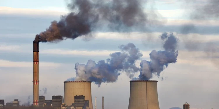 TEMA Vakfı: COP30 Çözüm Değil, Erteleme Üretti