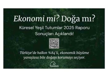 Küresel Yeşil Tutumlar Anketi 2025