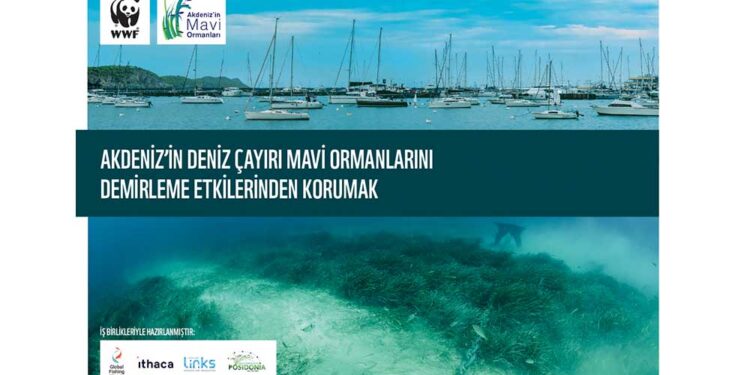 Akdeniz’in Mavi Ormanlarında Sessiz Yıkım: Binlerce Gemi Deniz Çayırlarını Tahrip Ediyor