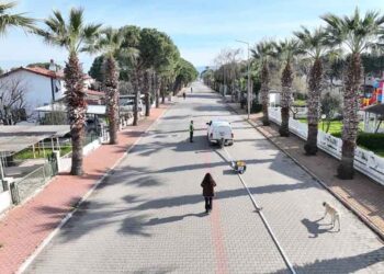 BALDEP Projesi Altınova Sahili’nde Sürüyor